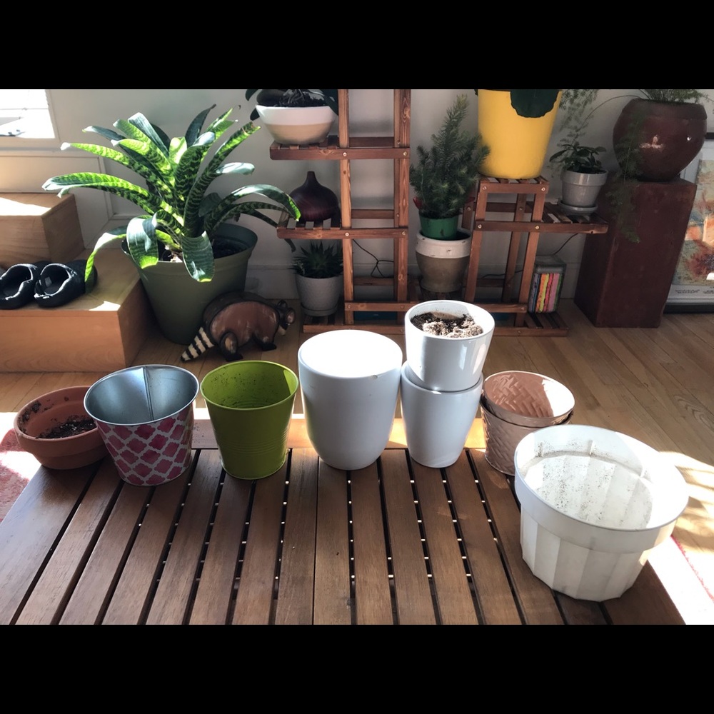 Succulent and plant pots